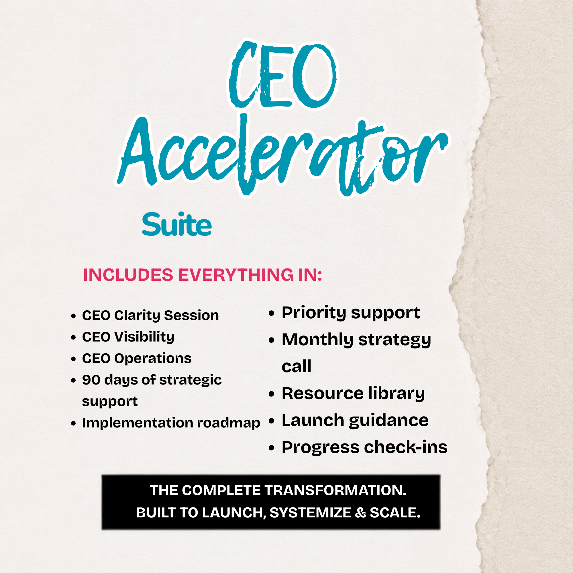 CEO Accelerator Suite