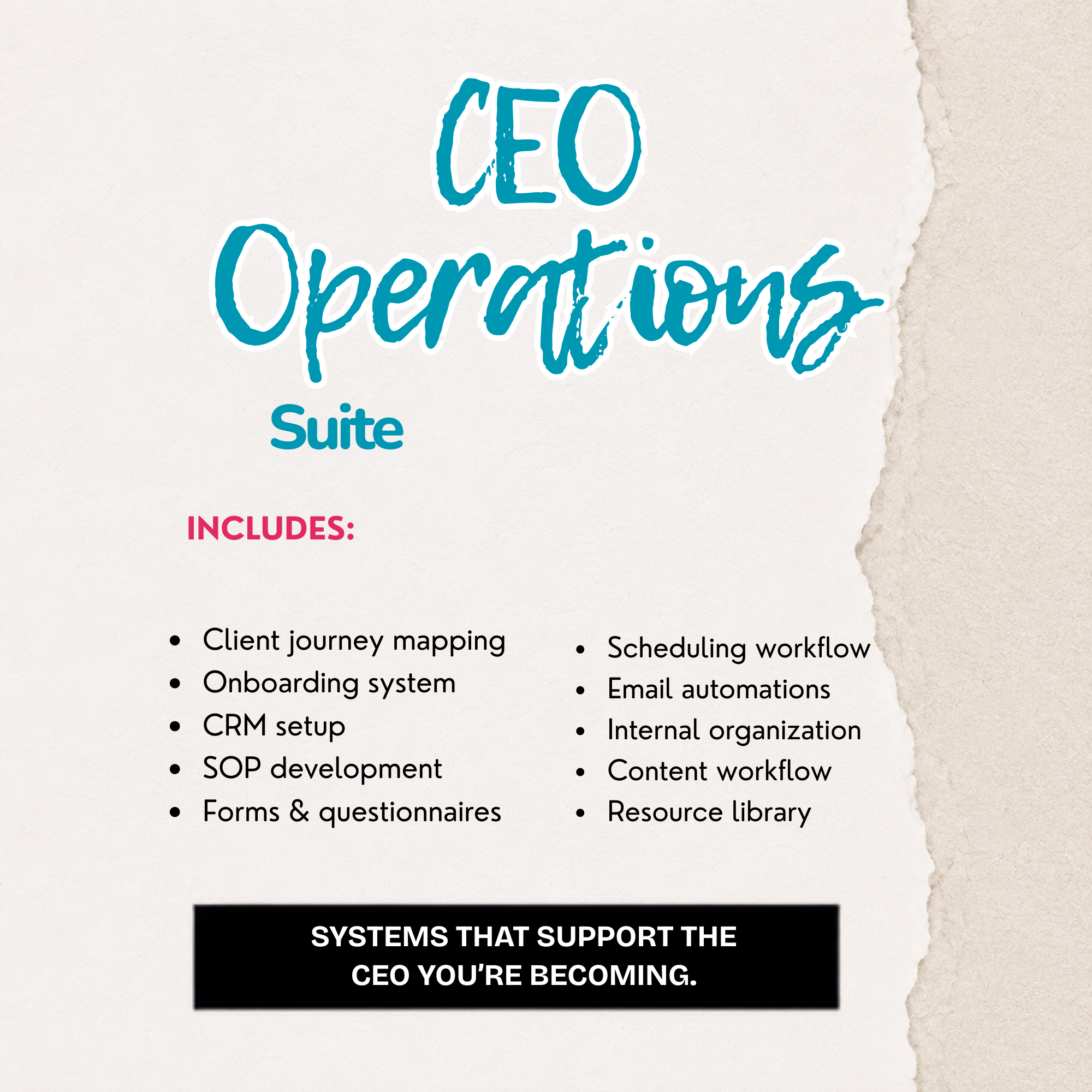 CEO Operations Suite